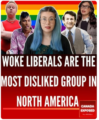 woke liberals