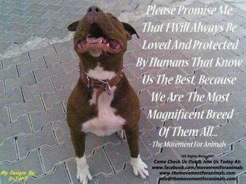 9475b5de71077c3790ce88825c8781f4