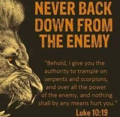 6811e570-6e00-4a40-8f54-d1748fa8c8cf