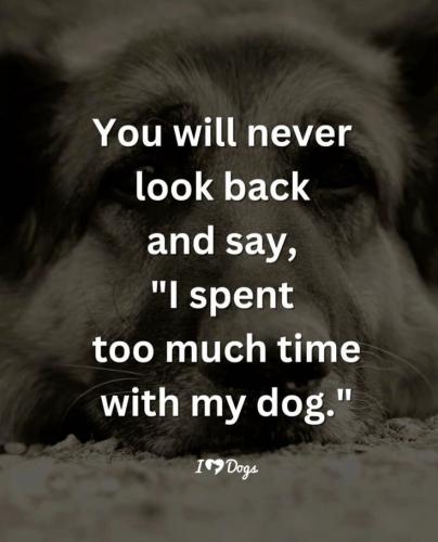 953922da35ec9f33ba6b334379c62c0f