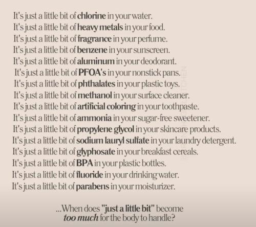 Screenshot_20241122_002841_Wimkin Free Speech Social Media