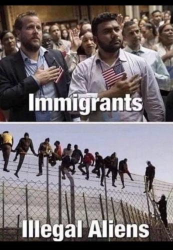 55bd73ba-19ad-40db-a0e2-44dc49b907dc