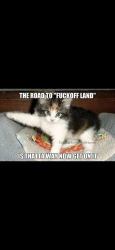 Screenshot_20241126_160516_Photos