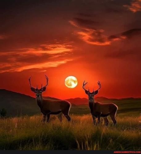 5e6fd7ca4ae85230cf9c0a972e913363dfabf28af562388a55016f06492c0a1e_1