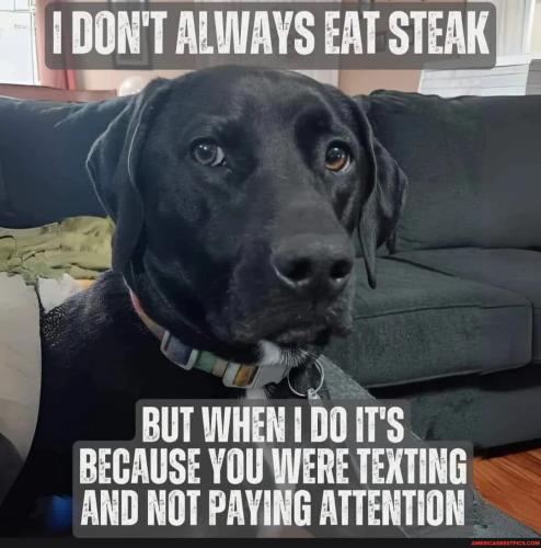 cd05bcaeb7f7650c7e607fc8205d97652a7e88ef76e730cc6ba774e30ce38d32_1