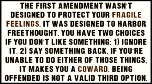 1st amendment truth