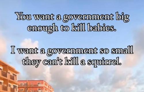 photo_2024-11-15_18-52-18