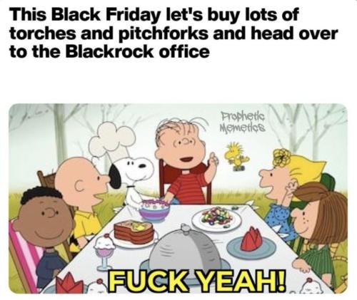 photo_2024-11-29_15-29-59