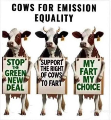 photo_2024-11-29_20-15-09