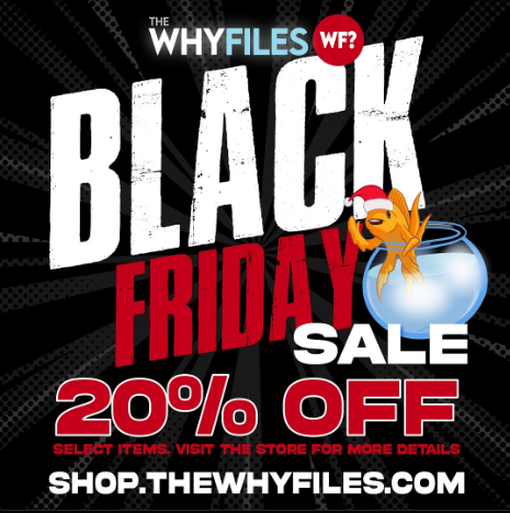 Screenshot 2024-11-29 155902