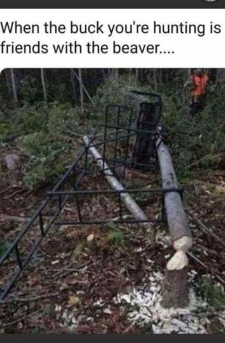 image_C287E2D6-DEEC-40FF-B7B5-1001F8512F76