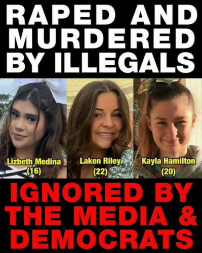 image_2024-11-22_071746341