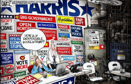 Screenshot 2024-11-23 181808