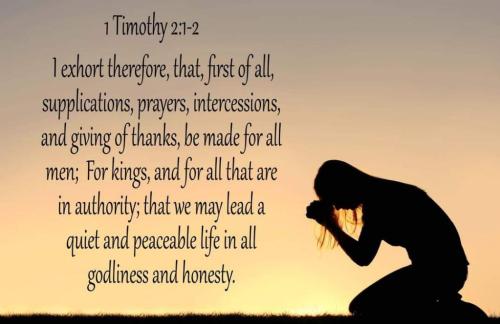 91f16f9e-4f4b-4168-bd3e-303585dfdb89