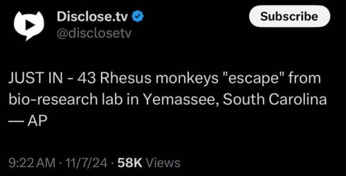 photo_2024-11-07_21-30-31