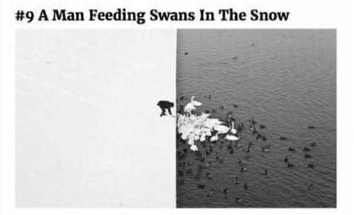 Screenshot_20241121-080955_Gallery