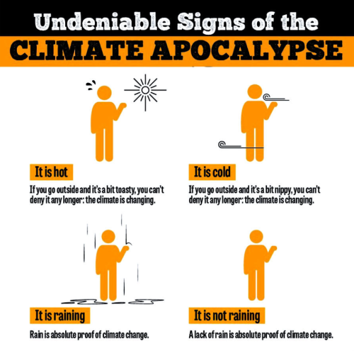 Screenshot 2024-11-18 145616