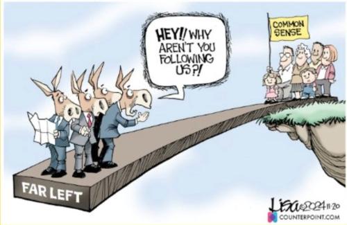 democrat vs common sense