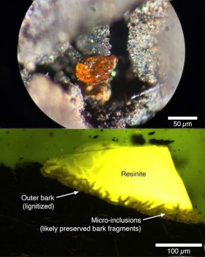 499fedce-1a7b-46ad-b93b-f72dd3ef23cd