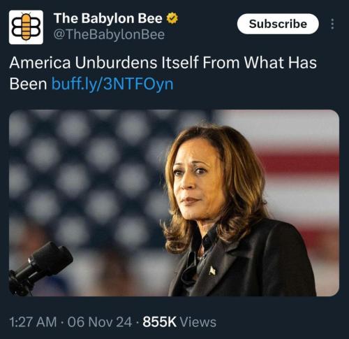 photo_2024-11-06_10-24-52