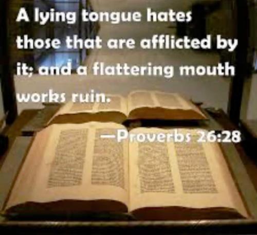 6fa88815-179e-497d-a362-55a0787223fa