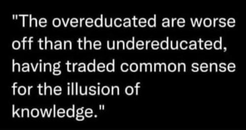 photo_2024-11-29_21-11-48