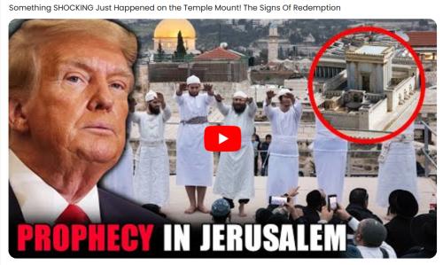 Prophecy in Jerusalem screenshot