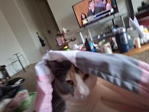 5fcffb2d-ec37-4e71-84d4-447b5404cf6c