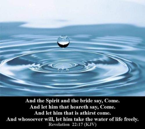 df8333e7-50c4-410b-ad25-f49f10e6e0b9