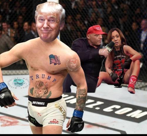 IMG_20241106_145844_133