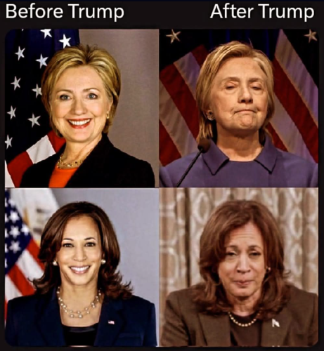 image_2024-11-28_092606844