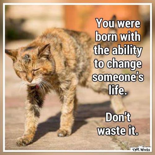 0c21bc325a6f93250a530d656b0a9fc6