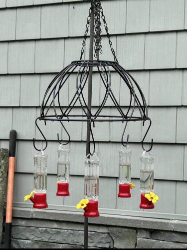 04446EE8-02BE-4C35-9F82-7BEB6E7CD524