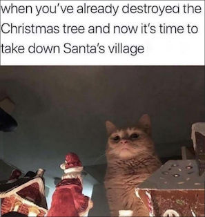 take down Santa's Village