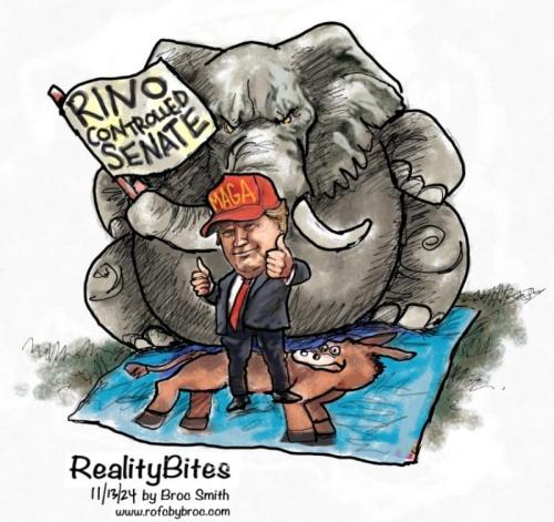 dnhcew50wsr7qs05pjop_800[1]