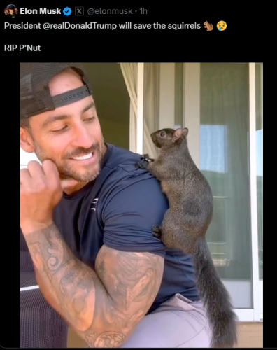 Screenshot 2024-11-02 123505