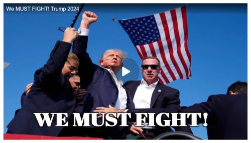 We must fight screenshot