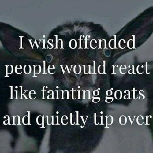 8f7805635dd49fc6d4c12b9b12a71b07