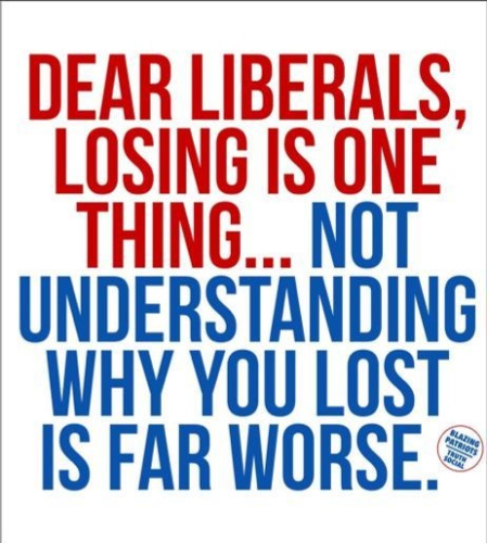 image_2024-11-28_085630814