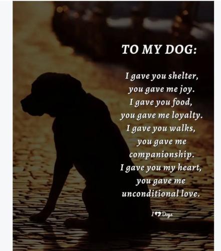 a066b398650fa408736eb3c11d255cd3