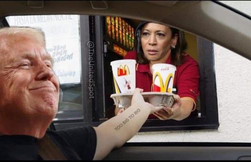 photo_2024-11-06_10-33-54