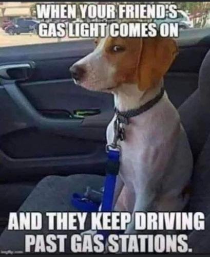 6dd345df1f05ff86e5597d8b8a5364e9