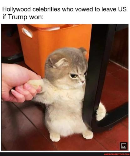 e5db759b92d1b37d37cb3dc31fe2af426c9e2641d7a2c095244dd62806acd739_1