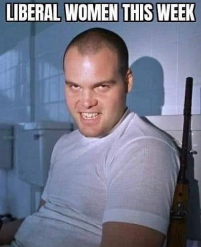 photo_2024-11-14_14-42-31