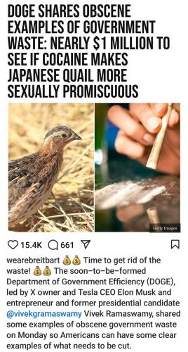 Screenshot_20241118_195642_Instagram