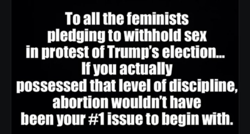 image_2024-11-09_143415179