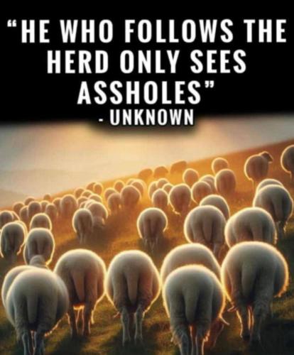 photo_2024-11-12_22-09-46