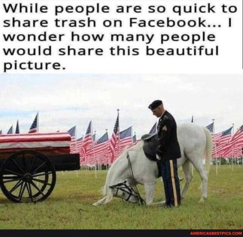 f767d1f4d03257079ad44a1626b9d321519850ce4b31ce8824617f8ff0682f98_1