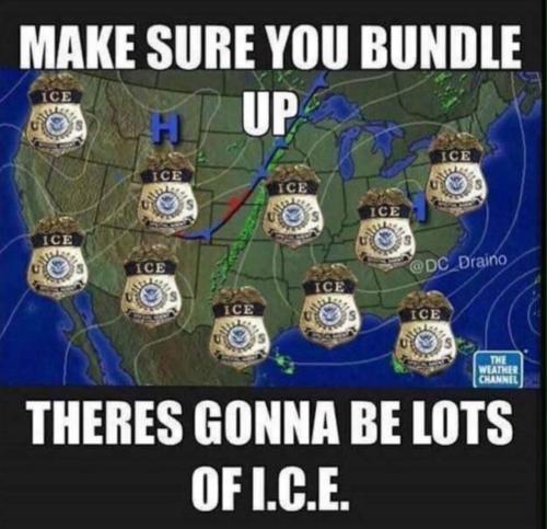 image_C68BEE93-DAAE-4108-8F43-EEEE9F321B9D