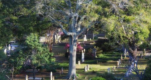 Haunting of St. Philip's Cemetery 3